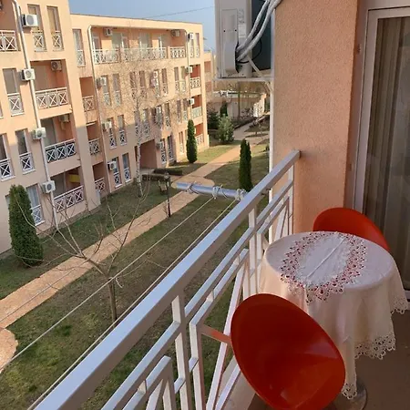 Sunny Day 6